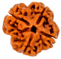 63b53db68a80d6.39376805_x190