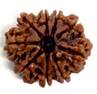 63b540136a2f51.18383186_x190