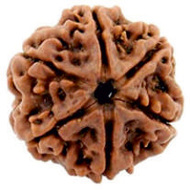 63b540532253e1.09668315_x190