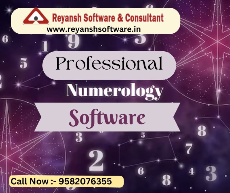 PROFESSIONAL NUMEROLOGY SOFTWARE