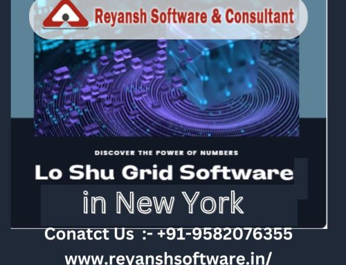 LO SHU GRID SOFTWARE IN NEW YORK
