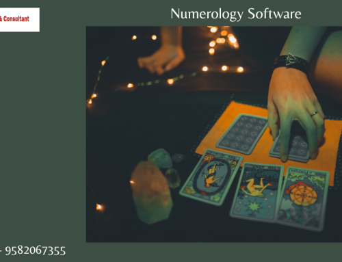 Numerology Software