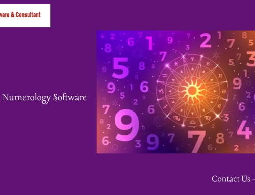 Professional Numerology Software